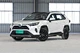 RAV4 Rongfang purchase